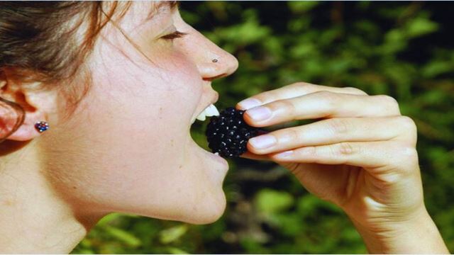 Passeio E Degustação: Sabores Da Região