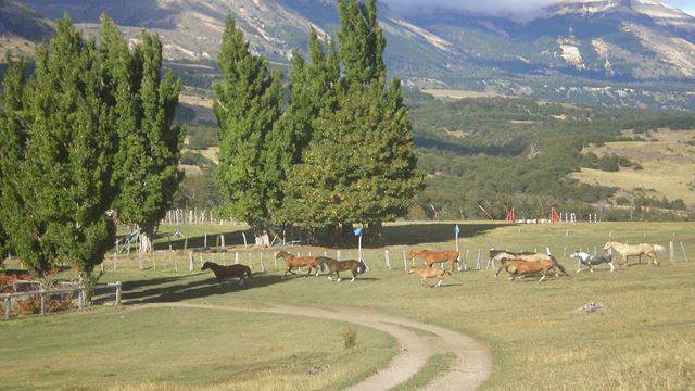 Gaucho Patagon Country Traditions In Coyhaique