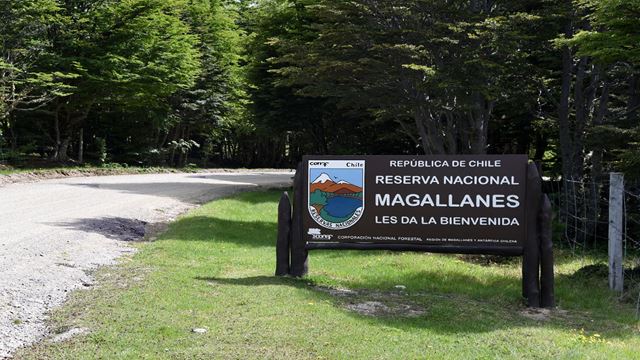 Trekking À Reserva Nacional Magallanes Em Punta Arenas