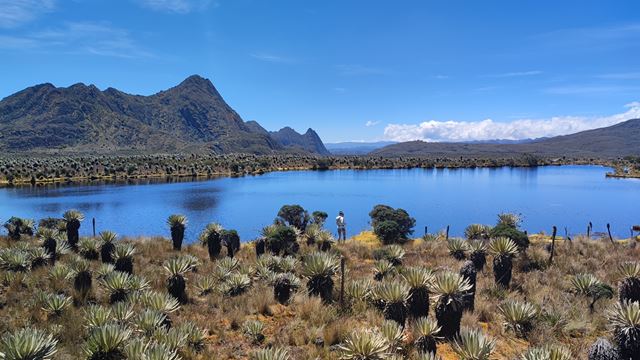 Trekking Ao Páramo De Sumapaz