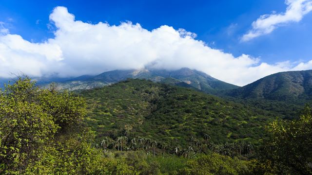 Trekking La Campana National Park