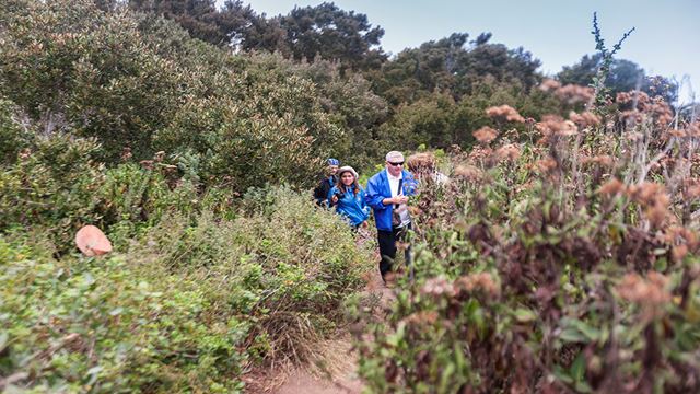 Trekking Parque Nacional Fray Jorge Maravilla Natural Y Cultural