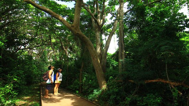 Sendero Dos Mirantes