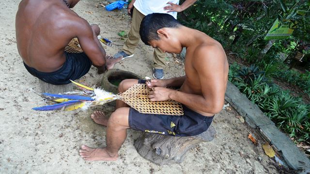 Rituel Des Fourmis Tucandeira En Amazonie