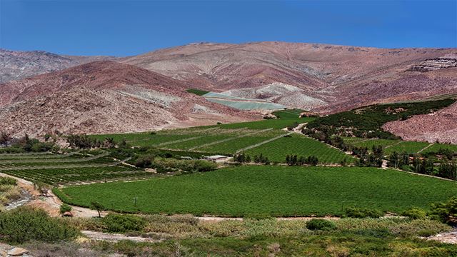 Elqui Valley Journeys Between Culture Vineyards And Pisco