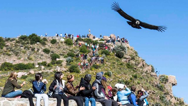 Viaje Arequipa Y Puno