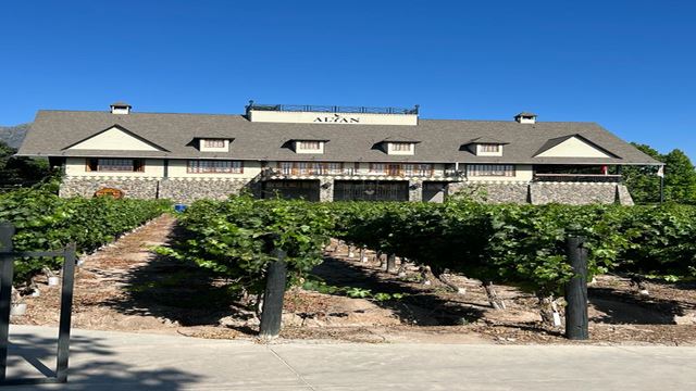 Alyan Sunset Vineyard From Santiago