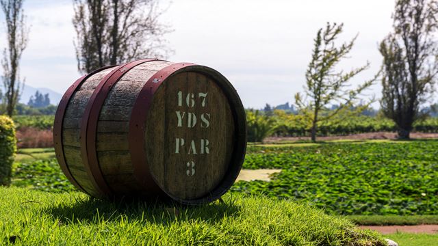 Santa Rita Vineyard From Santiago