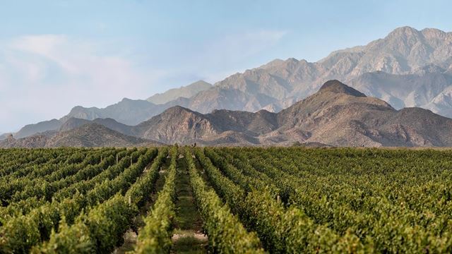 Visita A 3 Adegas Com Prova De Vinhos E Almoço Gourmet