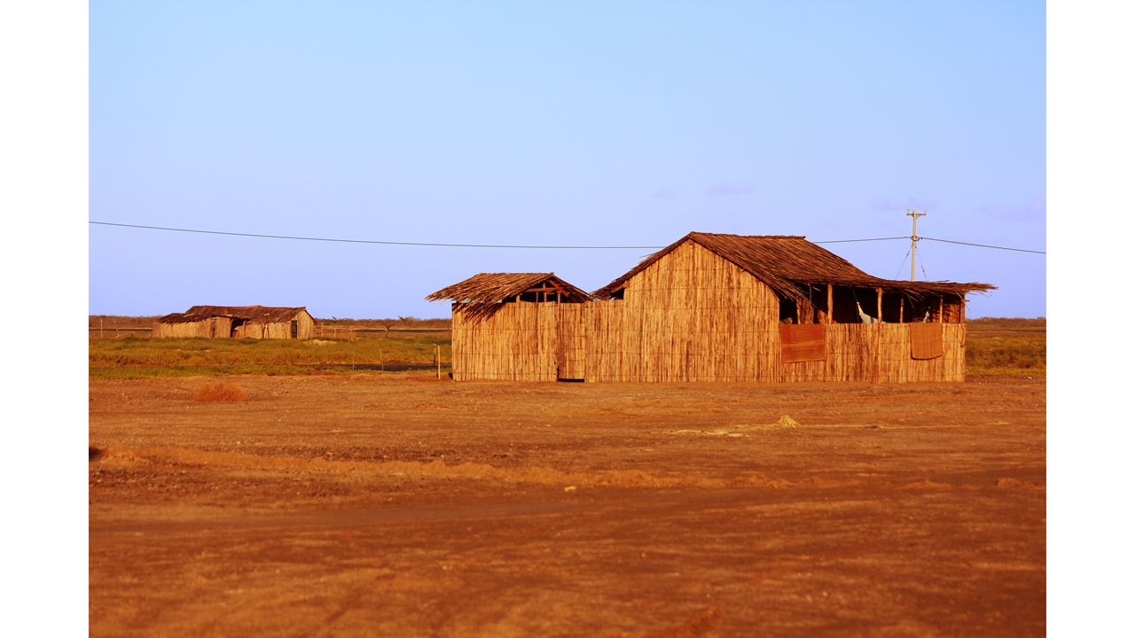 Live The Alta Guajira