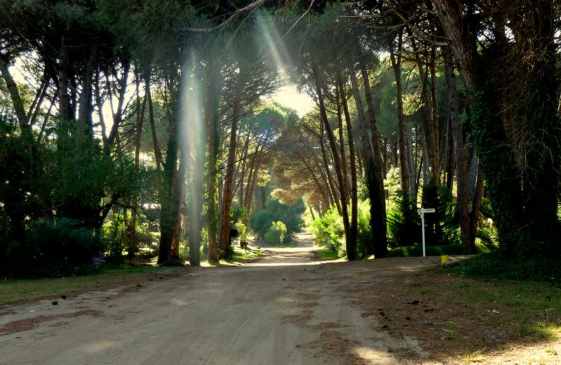 Pinamar And Carilo